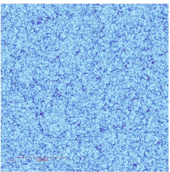 Figure 2. A thin (1.5 Mpc/h) slice through the HR4 simulation at redshift 0. The simulation is 3150 Mpc/h across sampled by 6300 3 dark matter particles.