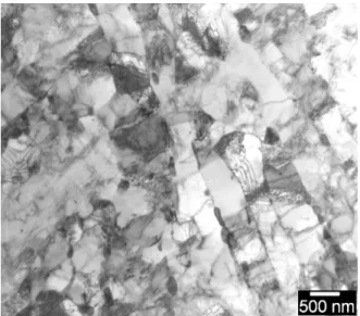 Figure 1 : Schéma de la microstructure  martensitique des aciers à 9-12%Cr. 