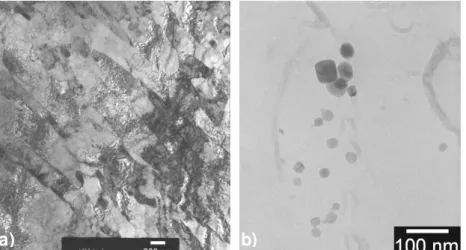 Figure 6 : Observations par MET du P91-L600-BT: a) sur lame mince (montrant les lattes), b) sur    