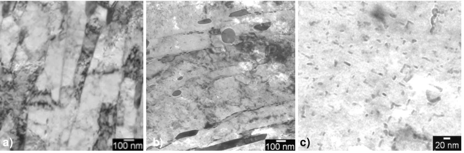 Figure 8 : Observations par MET du P91-L600-R700 (lame mince) montrant: 