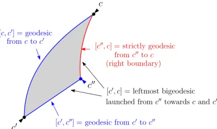 Figure 3: Generic structure of a tight slice (the boundary-face is the outer face). In this figure and the following, we represent geodesic boundary intervals in blue and strictly geodesic ones in red