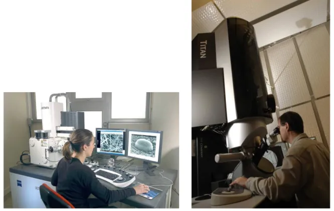 Figure 2 : Un microscope électronique à balayage (a) et un microscope électronique à transmission de MINATEC  (b)