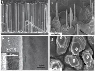 Figure 1: a) Image obtained by scanning electron microscopy (SEM) of a forest of Si nanowires with  catalysts  at the  top; b) atomic resolution image of the edge of a nanowires obtained by transmission electron microscopy (TEM) ;  c)  and d) SEM image of 