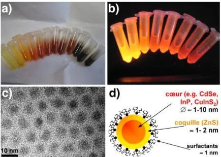 Figure 4 : CuInS2/ZnS nanocrystals of approximately 2 nm (yellow) to 4 nm (red) in diameter