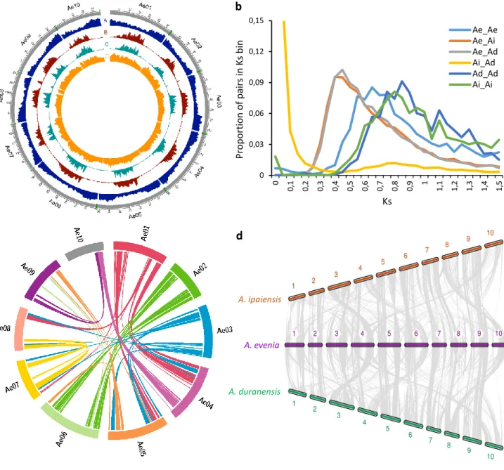 Fig. 1 Structure and evolution of the Aeschynomene evenia genomeab00,030,060,090,120,1500,10,20,30,40,50,60,70,80,91 1,1 1,2 1,3 1,4 1,5