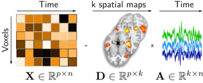 Figure 1: Linear decomposition model of fMRI time-series for estimating brain networks: The fMRI time series X are  fac-torized into a product of two matrices, D wich contain spatial modes and A temporal loadings of each mode