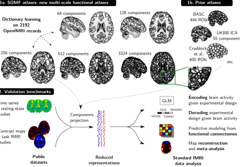 Figure 2: Schema of DiFuMo atlases and their usage in typical fMRI analyses. DiFuMo atlases are extracted from a massive concatenation of BOLD time-series across fMRI studies, using a sparsity inducing matrix factorization algorithm