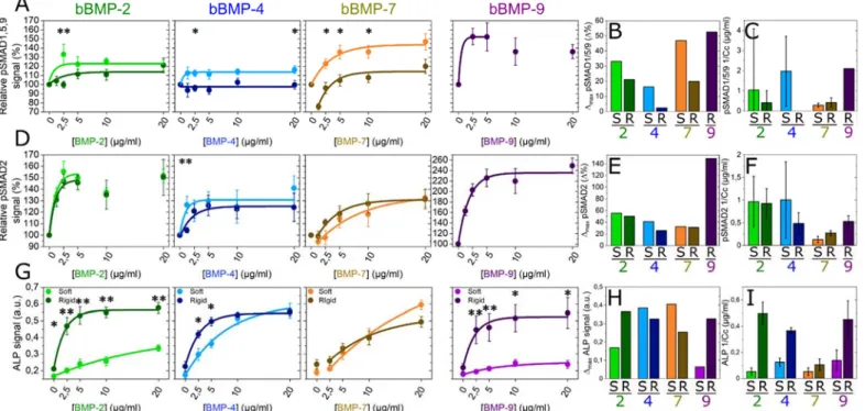 FIGURE 2. pSMAD and ALP analyses for the four bBMPs on soft and rigid films. Fluorescent signal  quantification of (a) pSMAD1,5,9, (d) pSMAD2, and (g) ALP activity as a function of the BMP concentration  in soft (light color) and rigid films (dark color)