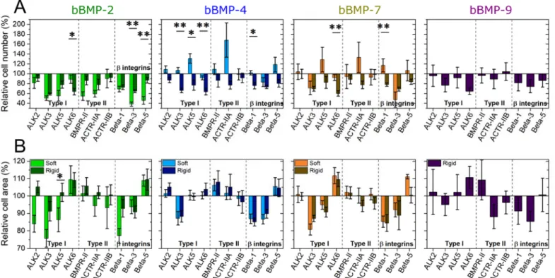 FIGURE  4.  Effect  of  BMP  receptor  and     chain  integrin  silencing  on  cell  adhesion  and  spreading