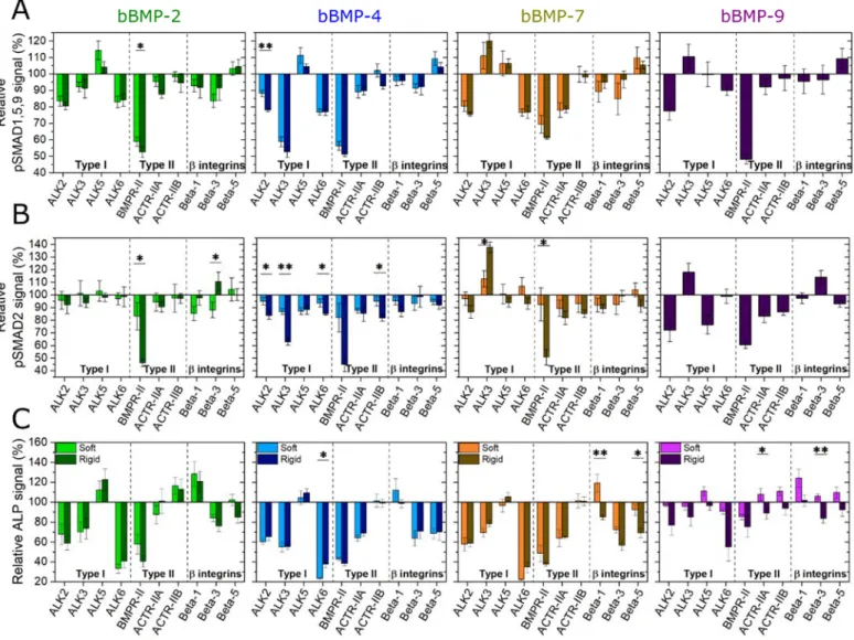 FIGURE 5. Effect of BMP receptor and    chain integrin silencing on early cell differentiation to bone