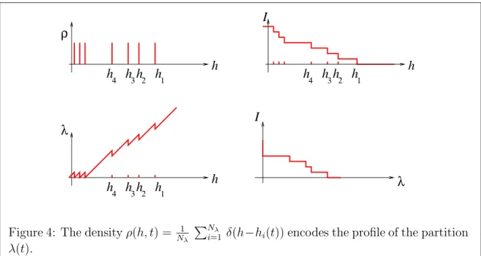 Figure 4: The density ρ(h, t) = N 1