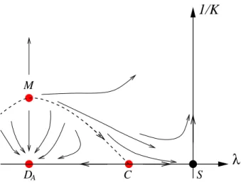 Figure 10: Schematic phase diagram for the dilute model with k > 2.
