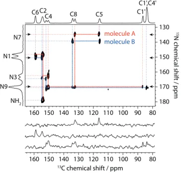 Figure 2.3: 15 N− 13 C DCP-HETCOR spectrum of dG(C3) 2 . 15 N− 13 C polarization transfer was achieved by adiabatic transfer (APHH-CP) 93 with a contact time of 7 ms