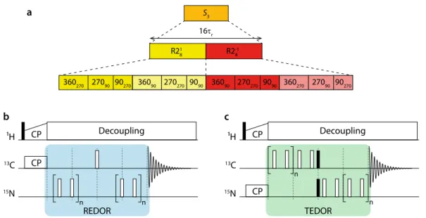 Figure 3.1: (a) Construction scheme of the S 3 pulse sequence. 101 (b-c) General pulse schemes for REDOR dephasing 105,106 (b) and TEDOR polarization transfer 103 (c) experiments