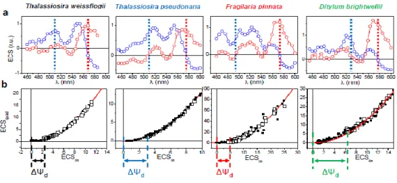 Figure 2.11 – ATP transfer from mitochondria to plastid in representative diatoms. (A) Spectra of the linear (blue) and quadratic  (red) ECS probes in T