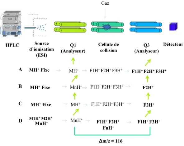 Figure  23 :  Mesure  des  adduits  des  HAP  par  HPLC-MS/MS  avec  (A)  le  mode  fragmentation,  (B)  le  mode precursor ion scan, (C) le mode MRM et (D) perte de neutre 