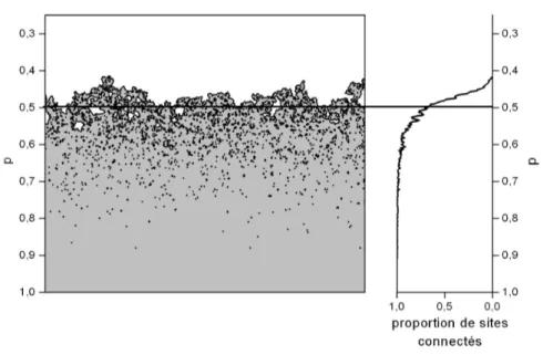 Fig. 3.6 – Exemple de r´ ealisation de la percolation de liens dans un gradient. Le pro- pro-babilit´ e de fermeture des liens diminue lin´ eairement de 1 vers 0, du bas vers le haut