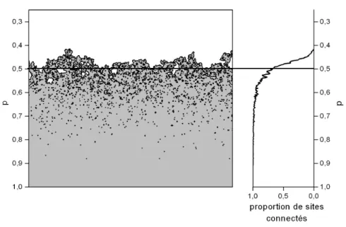 Fig. 3.6 – Exemple de r´ ealisation de la percolation de liens dans un gradient. Le pro- pro-babilit´ e de fermeture des liens diminue lin´ eairement de 1 vers 0, du bas vers le haut