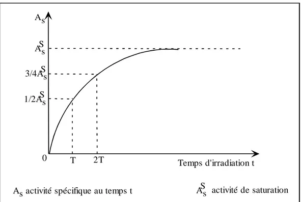 Figure II.3 : Accroissement de la radioactivité d’un élément au cours de l’irradiation 