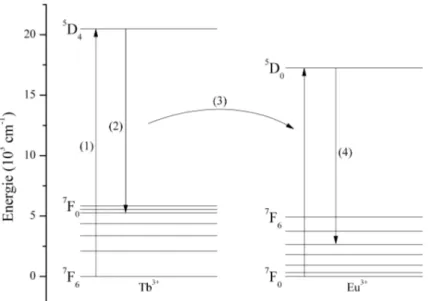Figure 1.18: illustration du mécanisme de transfert d’énergie entre l’ion Tb 3+ et l’ion Eu 3+ .