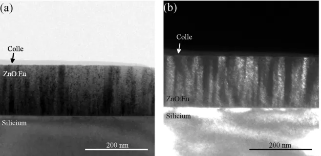 Figure 2.9: Images en champ clair (a) et en champ sombre (b) d’un film de ZnO déposé sur un substrat de silicium.