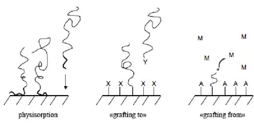 Fig. 1.8: Différentes méthodes de greffage de chaînes de polymères à la surface d’un support