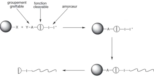 Fig. 1.25: Représentation schématique du concept proposé par Prucker et Rühe