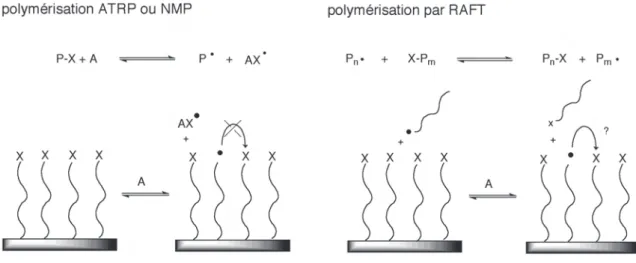 Fig. 1.26: Réactions de migration. Comparaison des mécanismes pour ATRP, NMP ou par RAFT depuis une surface