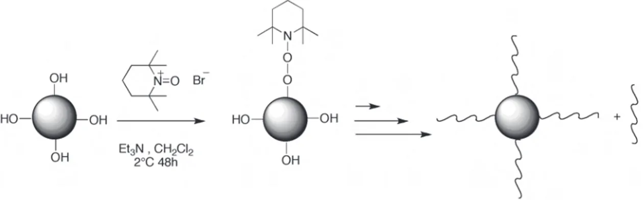 Fig. 1.33: Fonctionnalisation de la surface de particules de silice par un sel de bromure d’oxoaminium et polymérisation.