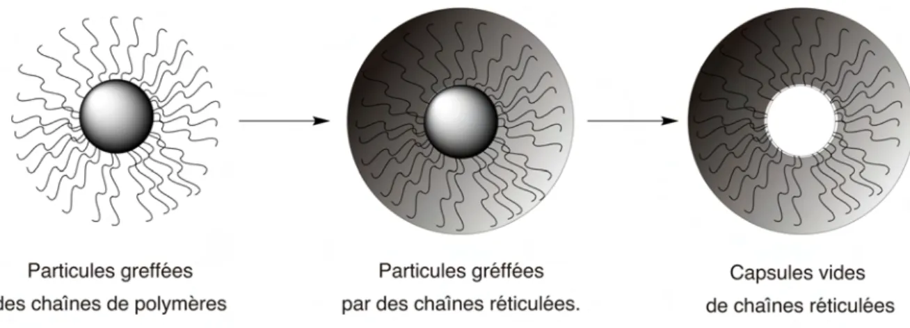 Fig. 1.35: Représentation shématique de la synthèse de nanocapsules creuses à partir de particules de silice greffées.