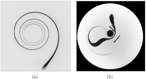 Figure 1.6: Two possible stretching scenarios: simple-shear or chaotic flows.