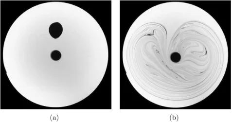 Figure 2.6: (a) Initial condition: a small blob of marked fluid is released just under the free surface