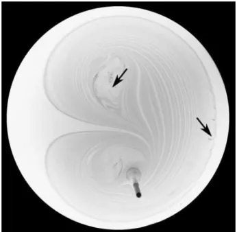 Figure 2.9: 3-D effects – In weakly stretched regions, such as the no-slip bound- bound-ary or non-chaotic regions, small convection movements induce three-D effects that start spoiling the mixing pattern after about 30 periods of the stirring pattern