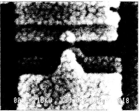 Fig. 1.4 Scanning electron microscope photograph of an aluminum/aluminum-oxide/copper tunnel junction.