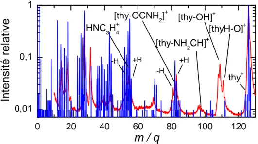 Figure 2.6: Superposition du spectre de fragmentation provenant d’agrégats de thymine (courbe rouge) avec celui provenant de la molécule de  thy-mine isolée (courbe bleue)