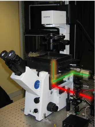 Figure 23  Microscope inversé Olympus IX-71 équipé d'une camera 35mm sur le port gauche, d'une lampe blanche Hg-100W (située au-dessus) d'une platine de déplacement nanometrique MADCITY et une binoculaire