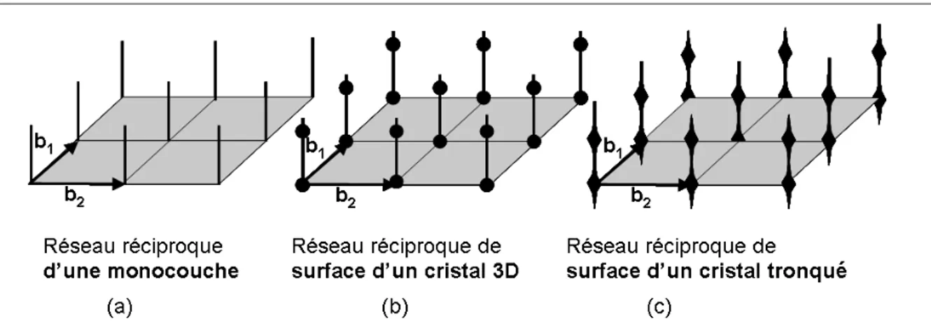 Fig. 2.8: Représentation du réseau réciproque (a) d’une couche atomique, (b) de la surface d’un cristal 3D et (c) de la surface d’un cristal 3D tronqué.