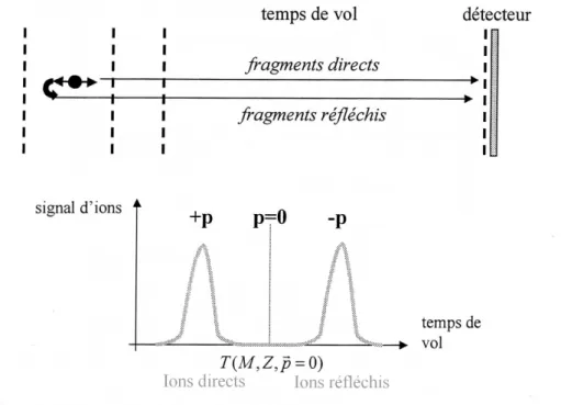 Fig. 3.14  Struture en double pi des spetres de temps de vol des fragments