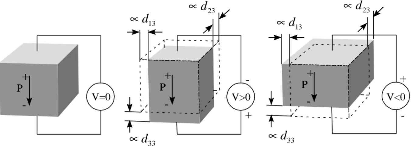 Fig. 2.6  Deformation  of  a  piezoelectric  material  when  an  electric  field  is  applied  parallel  to  the  polarization direction