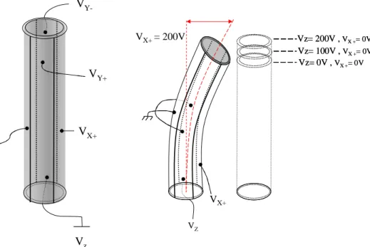 Fig. 2.10  Principle of piezoelectric tube X-Y deflection. In such tube, one uses the d 31  piezoelectric  coefficient,  that  is,  the  polarization  being  along  the  electric  field