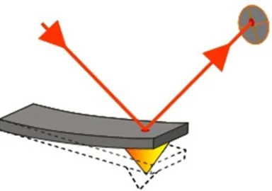 Fig. 2.17  Illustration of standard AFM deflection measurement. A laser beam is reflected on the end  of the lever towards a 4 quadrants diode which measures the deflection of the lever either statically  or dynamically