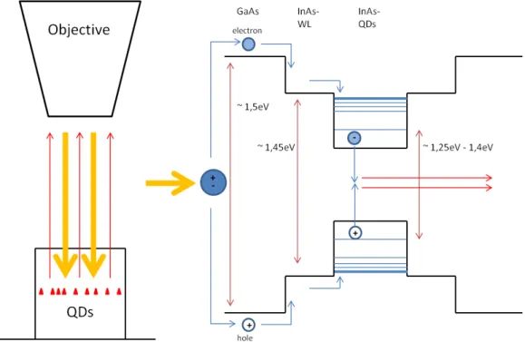 Figure 2.10 Principle of photoluminescence measurements on QDs. Excitation and detection of the signal is provided by the same optical element