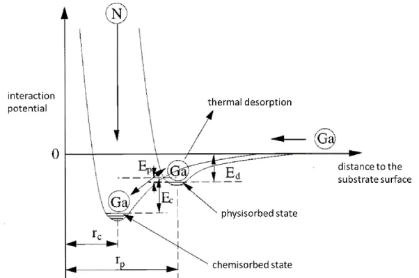 Figure 3.7: Schematic representation of the process occurring during a GaN layer growth (modified  from ref