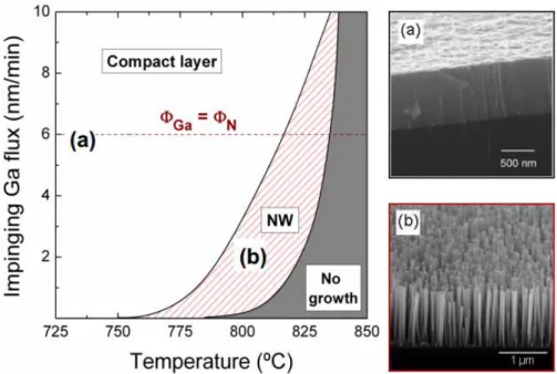 Figure 3.11: Nanowire growth window with substrate temperature and Ga flux (after ref