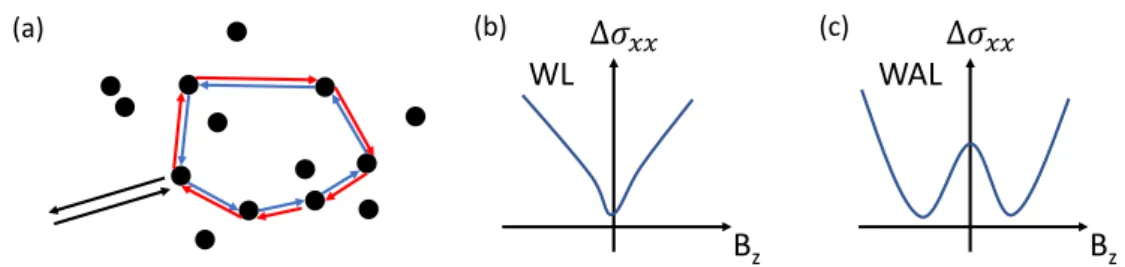 Figure 3.2: (a) Scattering centers (black dots) and two time-reversed paths forming a closed loop (starting from the black arrow, passing through  clock-wise (red) or anticlockclock-wise (blue) path and going out along the other black arrow)
