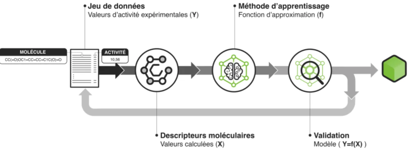 Figure  6 :  Représentation  des  4  composantes  indispensables  à  la  création  d’un  modèle (Q)SAR