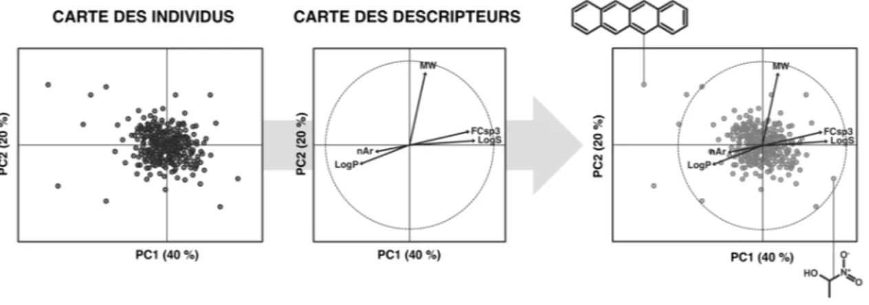 Figure  10 :  Représentation  schématique  d’une  ACP  sur  les  deux  premières  composantes principales