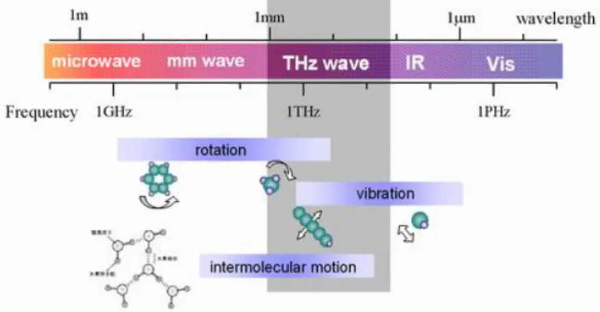 Figure 1.1.2: Terahertz spectrum and its impact on molecular dynamics. Source: www.