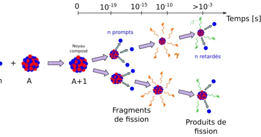 Figure A.2 – Chronologie du phénomène de fission induite par neutron. Les neutrons prompts sont émis par les fragments de fission à un temps de l’ordre de 10 − 15 s après la formation du noyau composé.