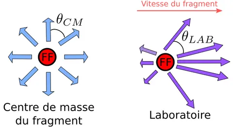 Figure A.4 – Distributions angulaire et de vitesse des neutrons prompts de fission.